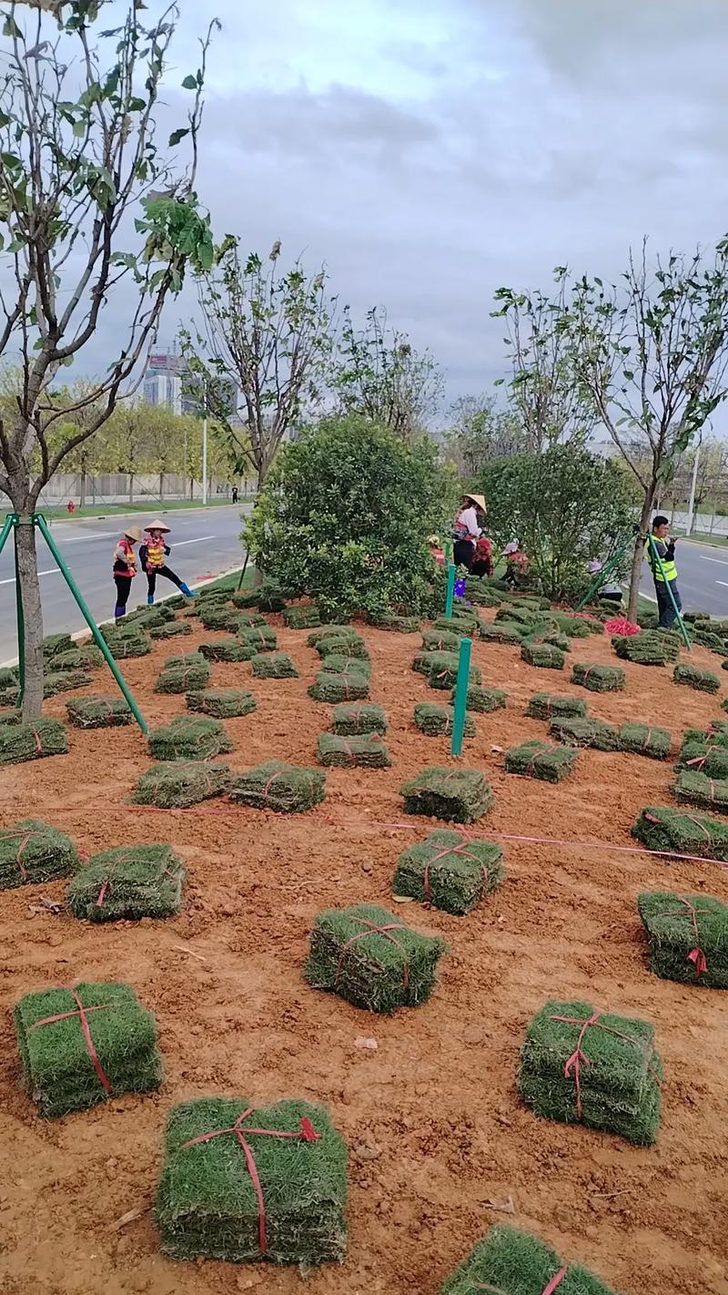 建筑工程一切险：保障与风险共舞
